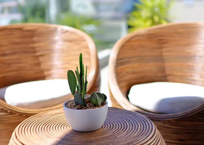 La Casa فيلة بيبينيا