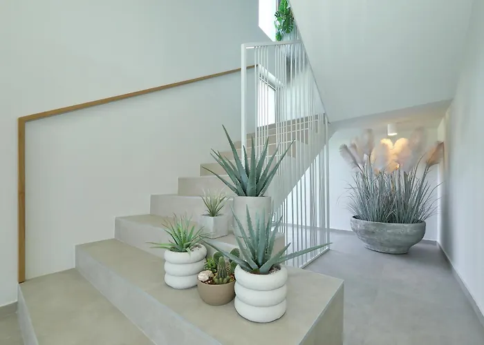 فيلة La Casa بيبينيا